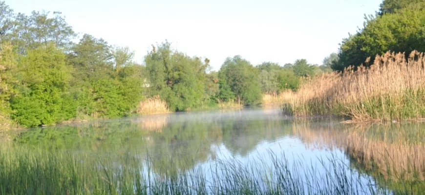 Галерея. Річка Рось3