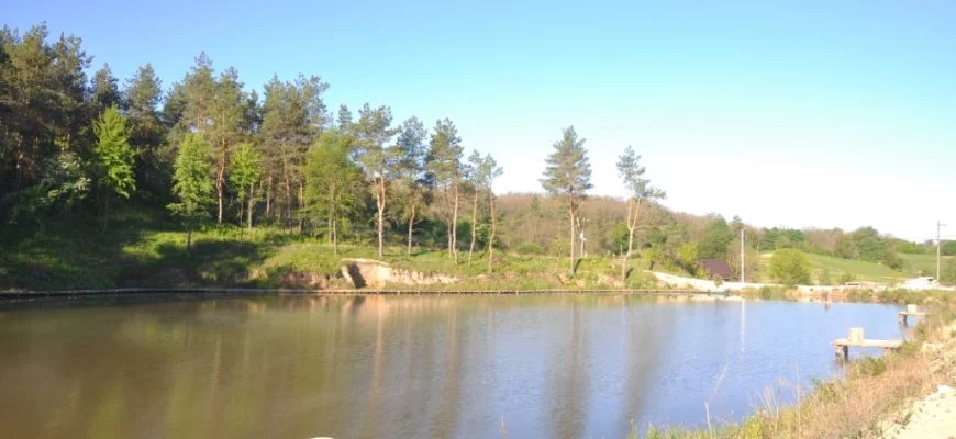 Галерея. Ставок Лісний